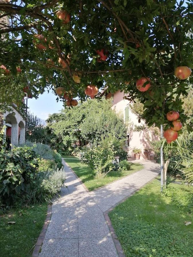 Maison d'hôtes Al Rustico