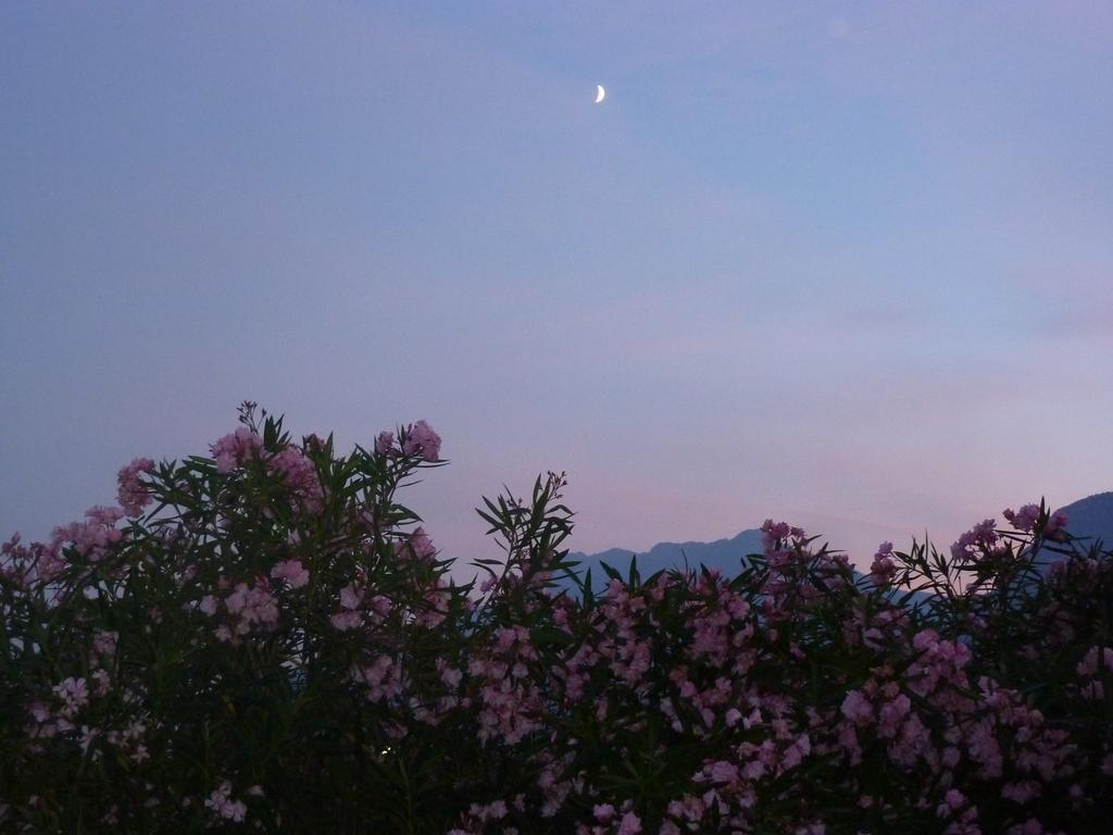 Maison d'hôtes Al Rustico Torbole Sul Garda